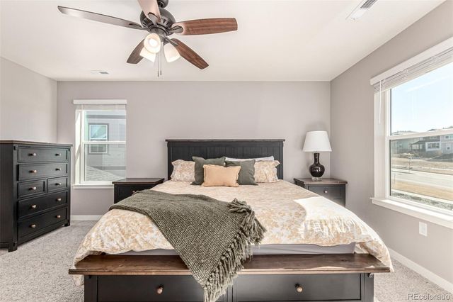 17200 Red Cosmos Point, Parker, CO 80134