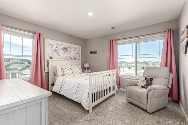 17200 Red Cosmos Point, Parker, CO 80134