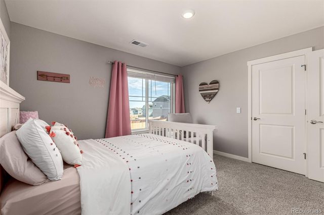 17200 Red Cosmos Point, Parker, CO 80134