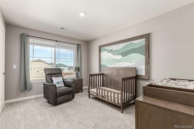 17200 Red Cosmos Point, Parker, CO 80134
