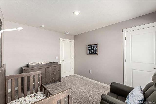 17200 Red Cosmos Point, Parker, CO 80134