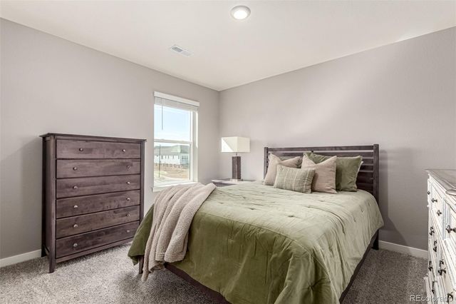 17200 Red Cosmos Point, Parker, CO 80134