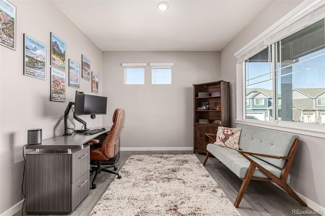 17200 Red Cosmos Point, Parker, CO 80134