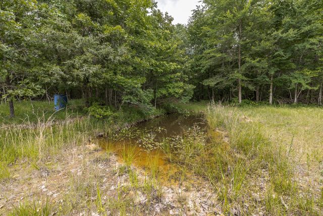 800 Warren Ln, Hurricane Mills, TN 37078