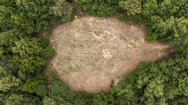 800 Warren Ln, Hurricane Mills, TN 37078