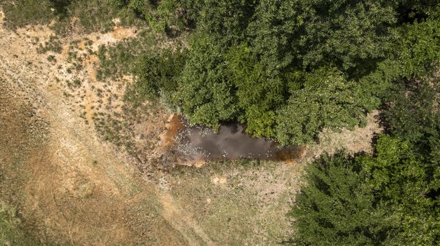 800 Warren Ln, Hurricane Mills, TN 37078