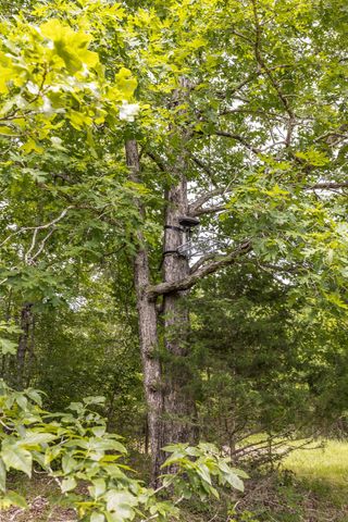 800 Warren Ln, Hurricane Mills, TN 37078