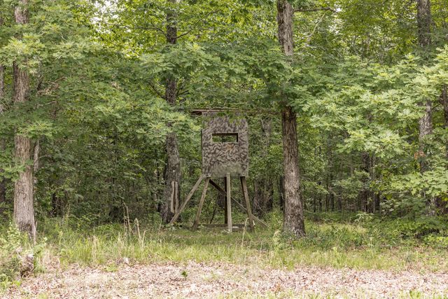 800 Warren Ln, Hurricane Mills, TN 37078