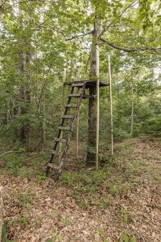 800 Warren Ln, Hurricane Mills, TN 37078