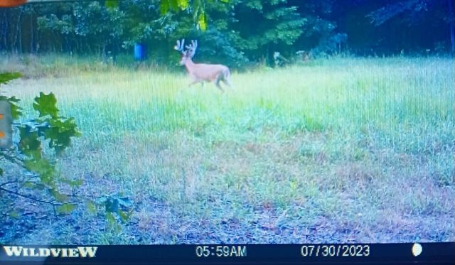 800 Warren Ln, Hurricane Mills, TN 37078