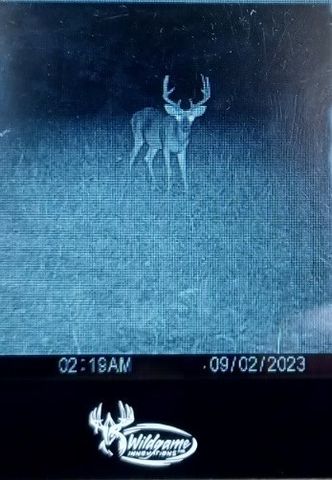 800 Warren Ln, Hurricane Mills, TN 37078