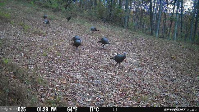 300 BEEGLE RD, Everett, PA 15537