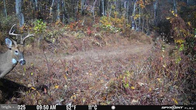 300 BEEGLE RD, Everett, PA 15537