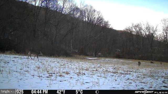 300 BEEGLE RD, Everett, PA 15537