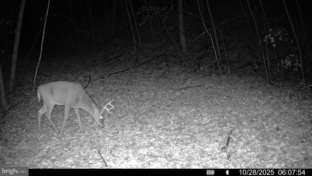 300 BEEGLE RD, Everett, PA 15537