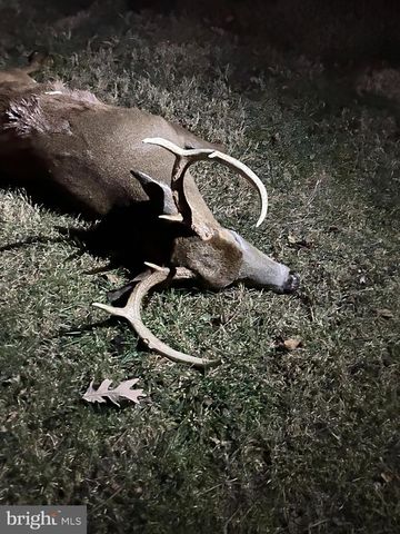 300 BEEGLE RD, Everett, PA 15537