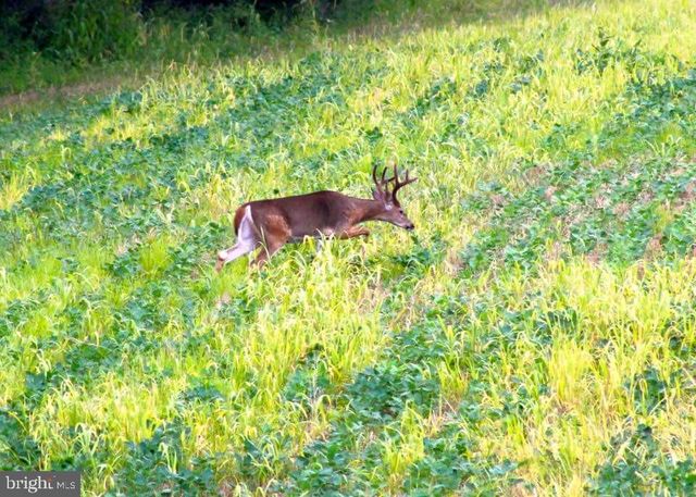 300 BEEGLE RD, Everett, PA 15537