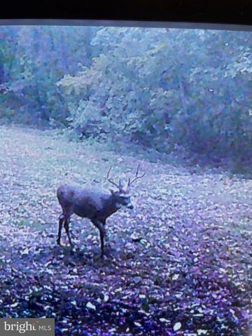 300 BEEGLE RD, Everett, PA 15537