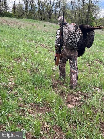 300 BEEGLE RD, Everett, PA 15537