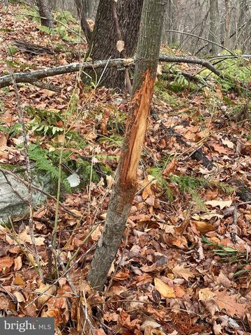 300 BEEGLE RD, Everett, PA 15537