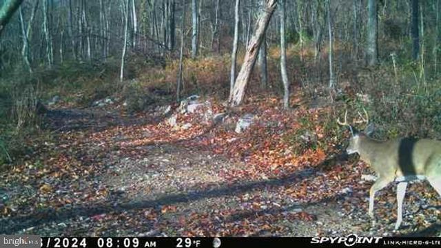 300 BEEGLE RD, Everett, PA 15537