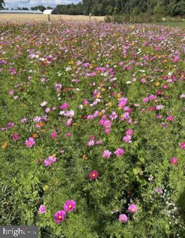 321 BLUE HERON RD, Dover, DE 19904