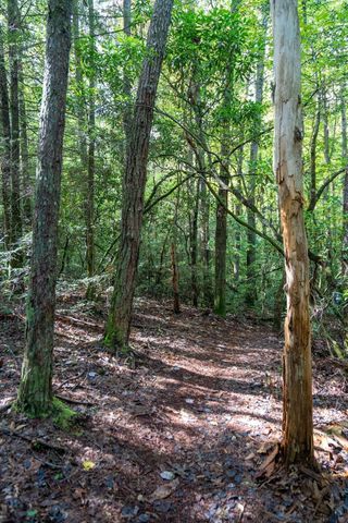 75A Deer Lick Trail, Monteagle, TN 37356