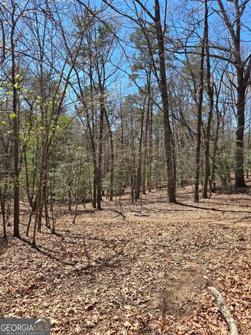 95 Black Bear Trail, Cleveland, GA 30528