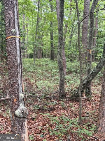 95 Black Bear Trail, Cleveland, GA 30528