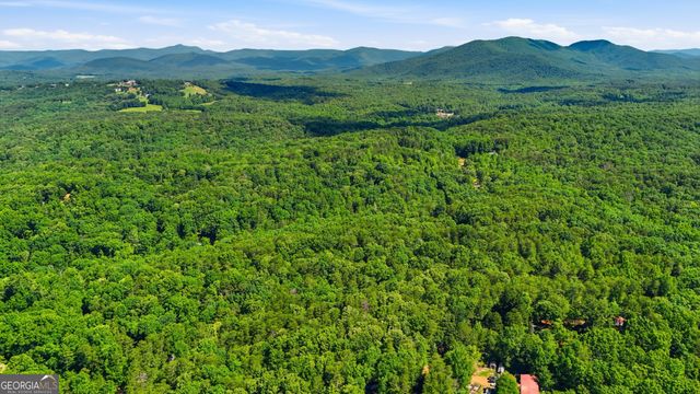 95 Black Bear Trail, Cleveland, GA 30528