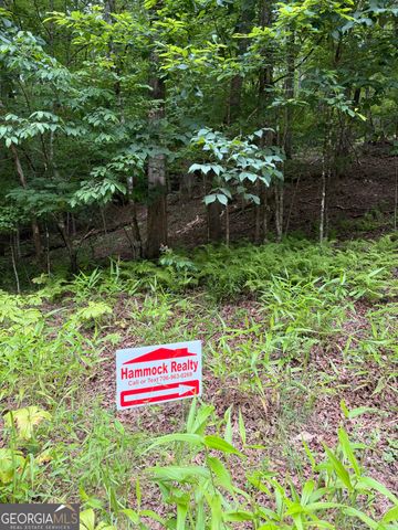 95 Black Bear Trail, Cleveland, GA 30528