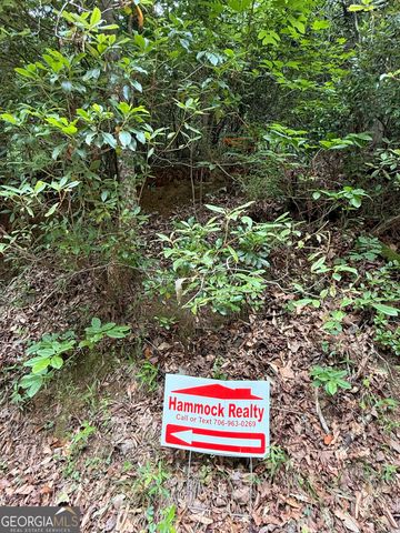 95 Black Bear Trail, Cleveland, GA 30528