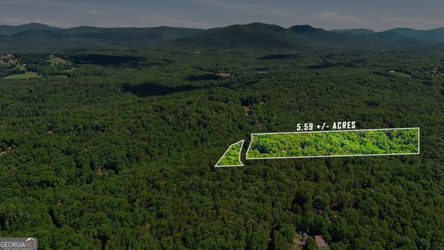 95 Black Bear Trail, Cleveland, GA 30528