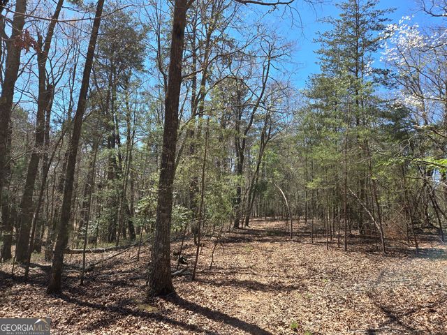 95 Black Bear Trail, Cleveland, GA 30528