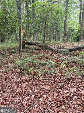 95 Black Bear Trail, Cleveland, GA 30528