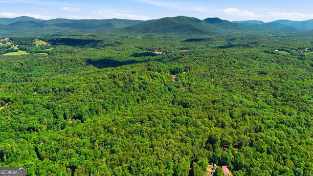 95 Black Bear Trail, Cleveland, GA 30528