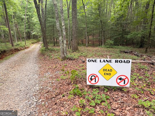 95 Black Bear Trail, Cleveland, GA 30528