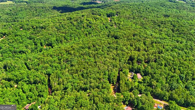 95 Black Bear Trail, Cleveland, GA 30528