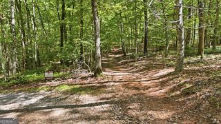 95 Black Bear Trail, Cleveland, GA 30528