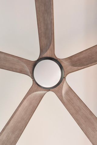 204 Telfair Street, Augusta, GA 30901