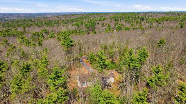 66 Collins Road, Eldred, NY 12732