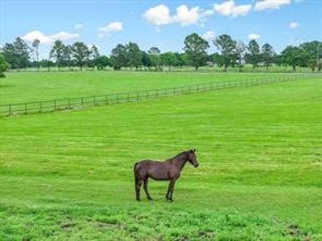 1100 Vz County Road 3419, Wills Point, TX 75169