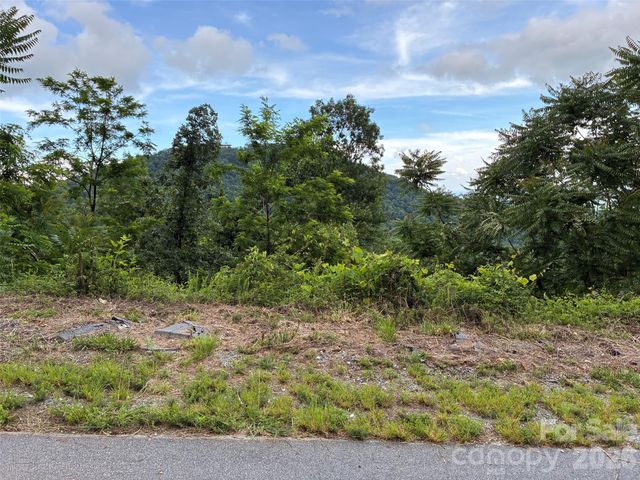 117 Devin Ridge Lane 117, Union Mills, NC 28167