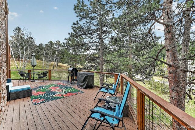 9053 Gray Fox Drive, Evergreen, CO 80439