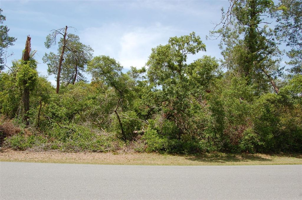 TBD SW 41 CIRCLE 6, Ocala, FL 34473