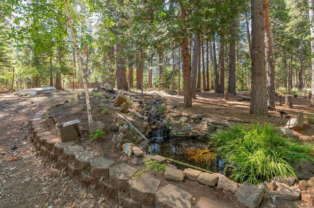 27765 Inspiration Dr, Pioneer, CA 95666