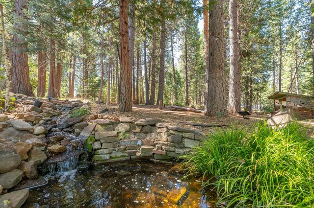 27765 Inspiration Dr, Pioneer, CA 95666