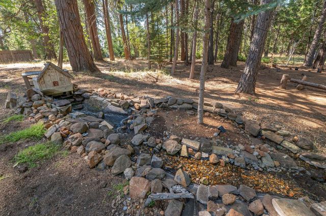 27765 Inspiration Dr, Pioneer, CA 95666