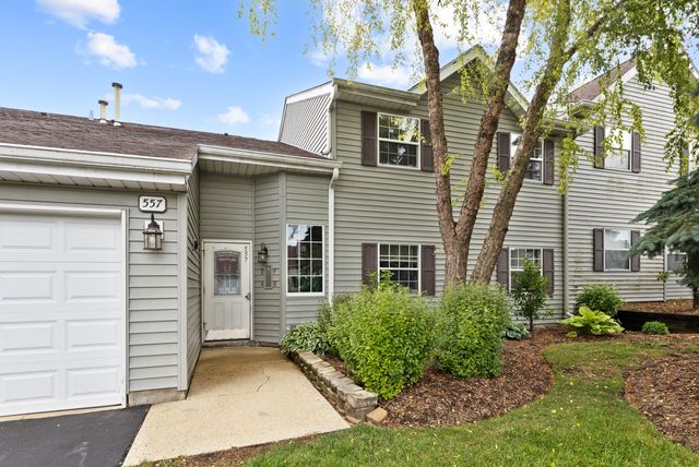 557 E Shag Bark Lane A, Streamwood, IL 60107