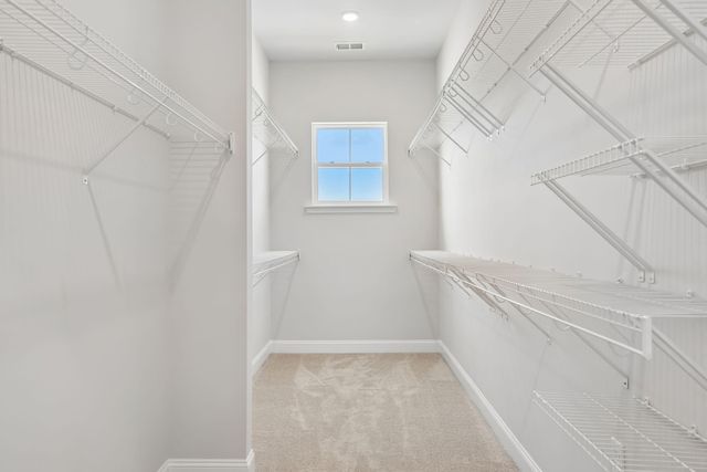 172 Sea Oats Street, Summerville, SC 29485